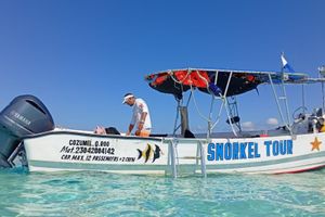 Actividad - Tour de esnorquel en El Cielo, Arrecifes y Tortugas