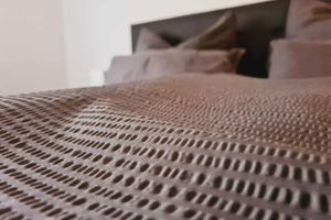 Alquiler Vacacional - Gastgeber aus Leidenschaft