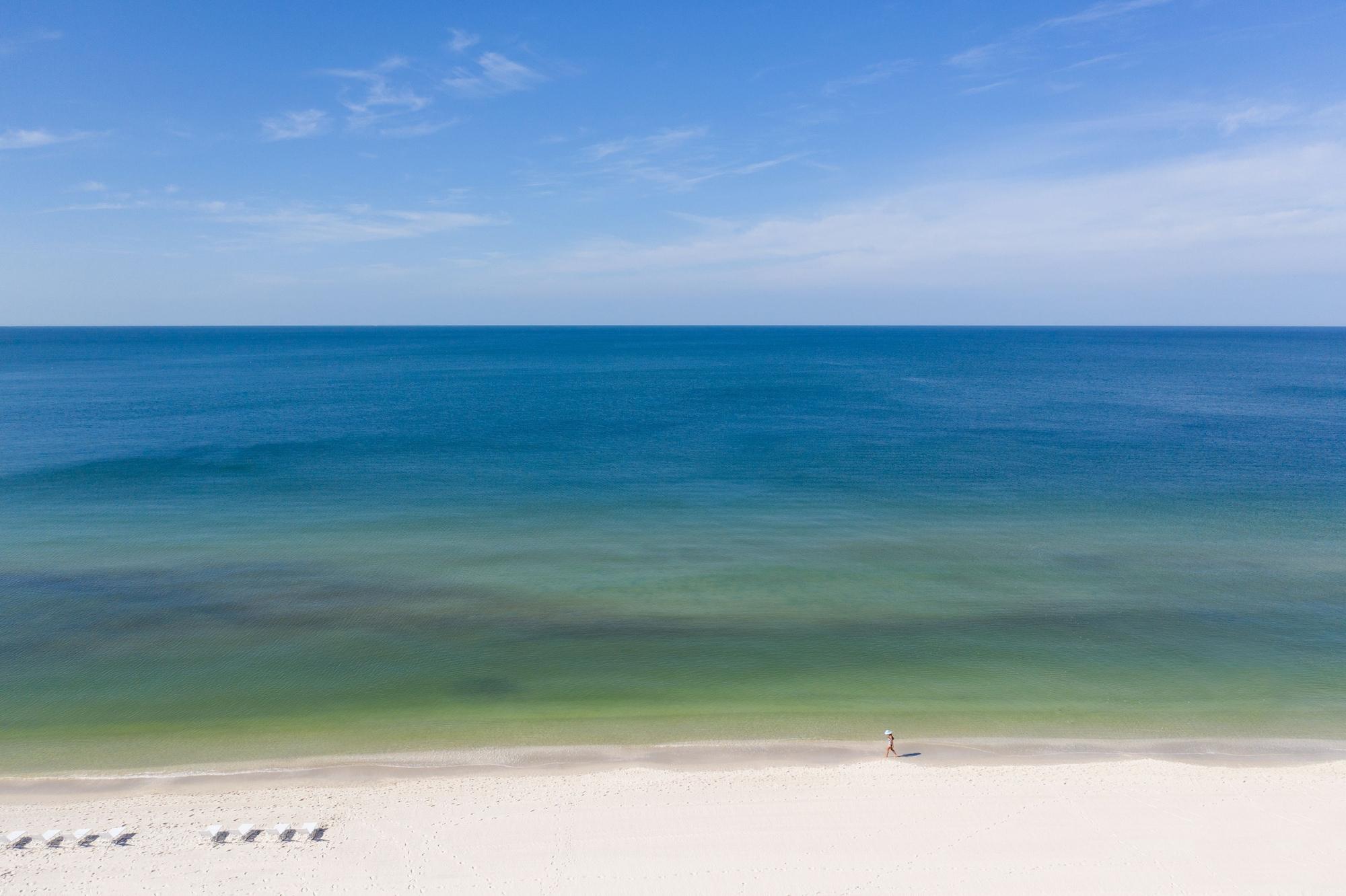 Playa The Ritz-Carlton Naples, Tiburón