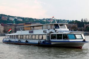Actividad - Crucero por el Danubio con opciones de bebidas