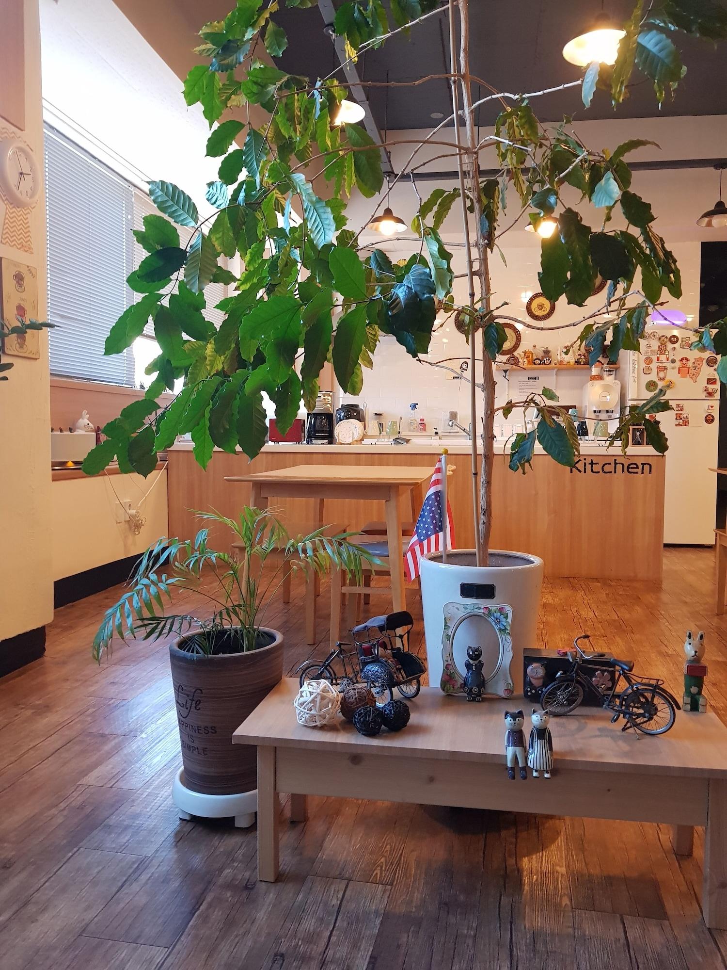 Vista Lobby Sokcho & Guesthouse