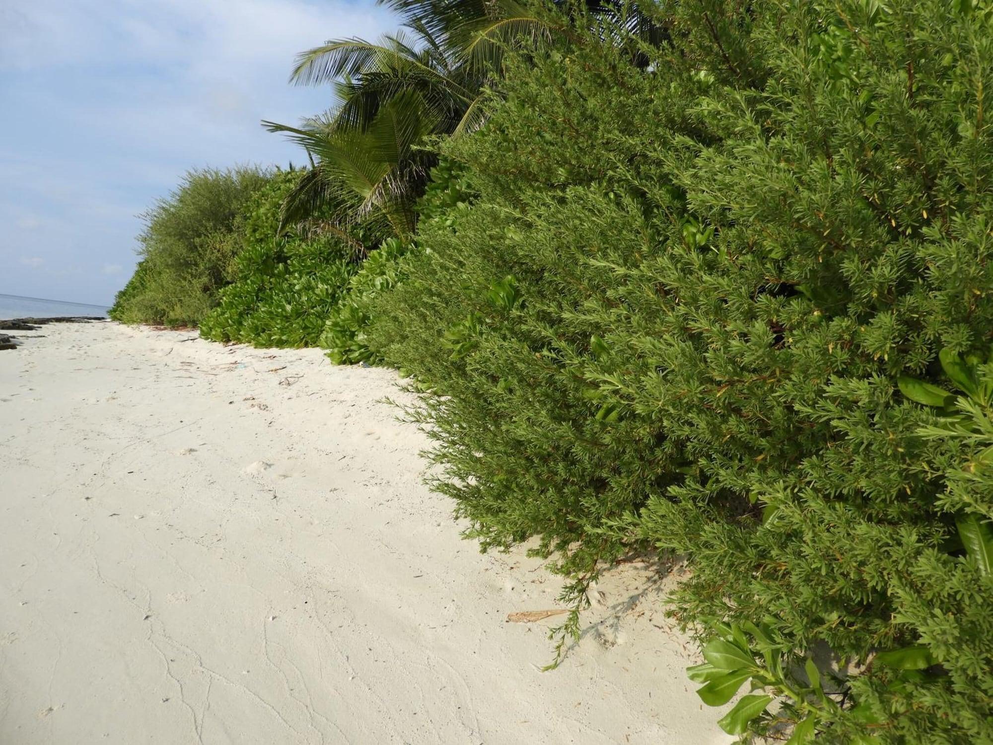 Playa Karaa Village