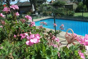 Alojamiento - Parkwood Motel and Apartments