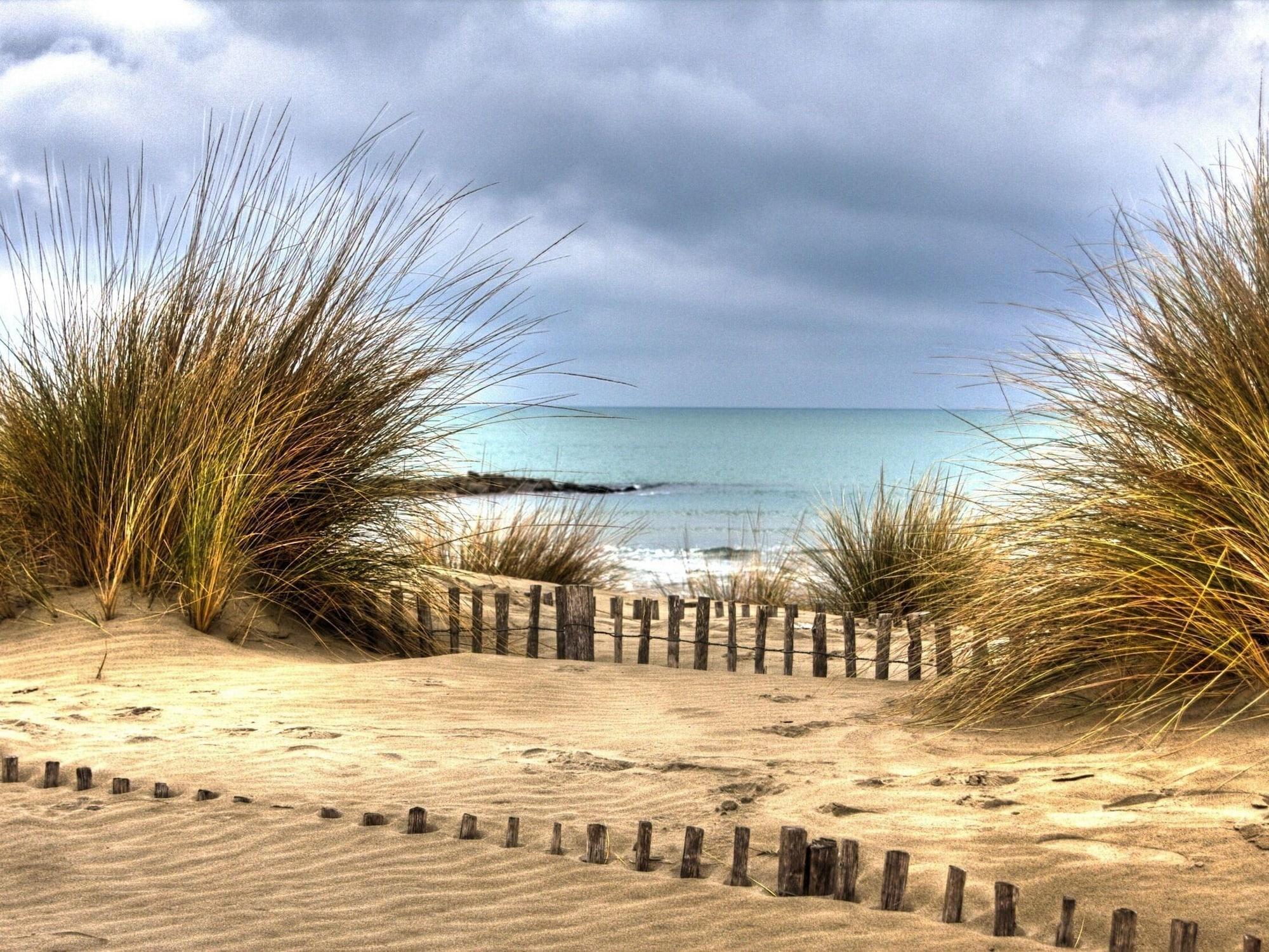 Playa Hôtel Le Dauphin Bleu