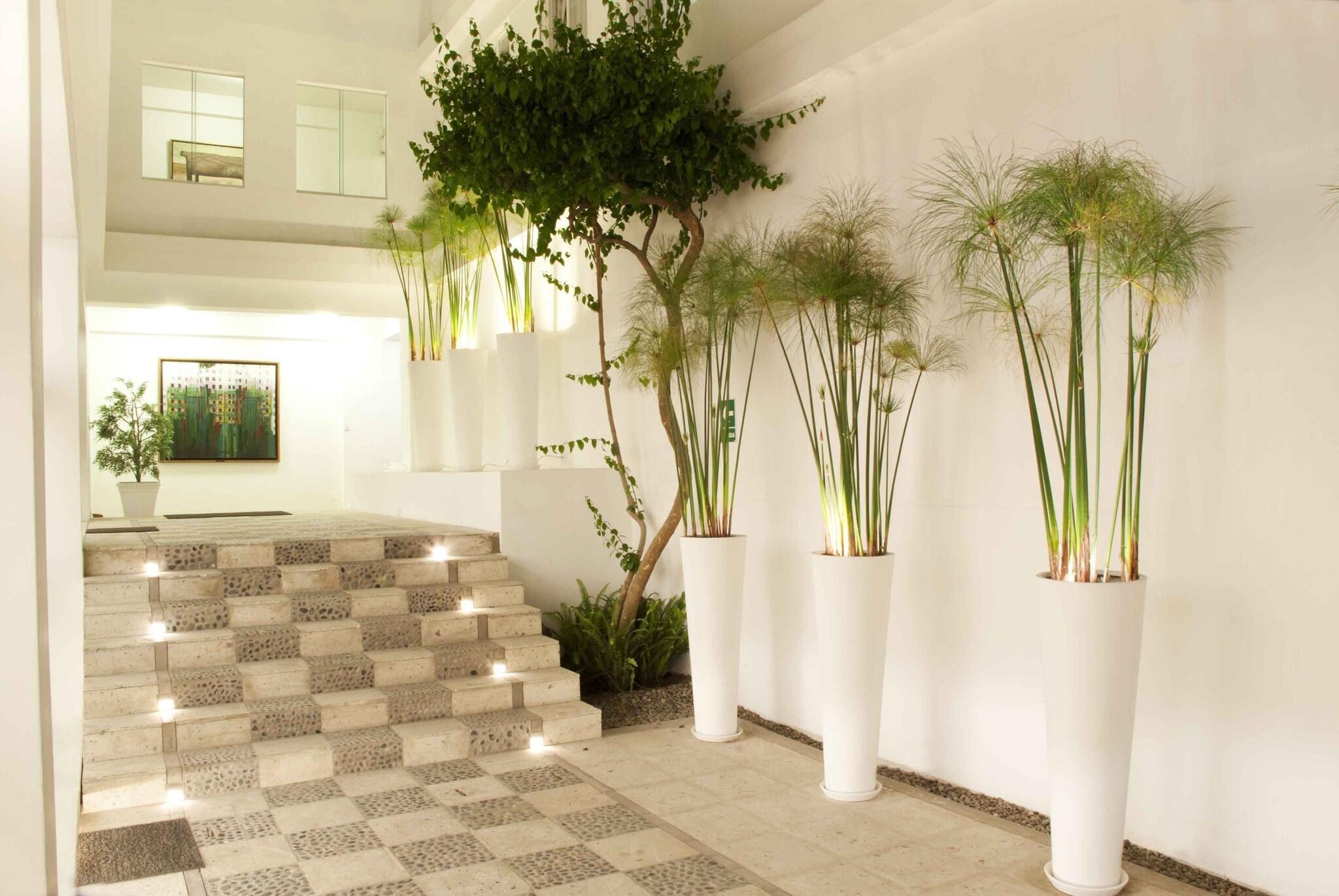 Vista Lobby Tierra Viva Arequipa Plaza
