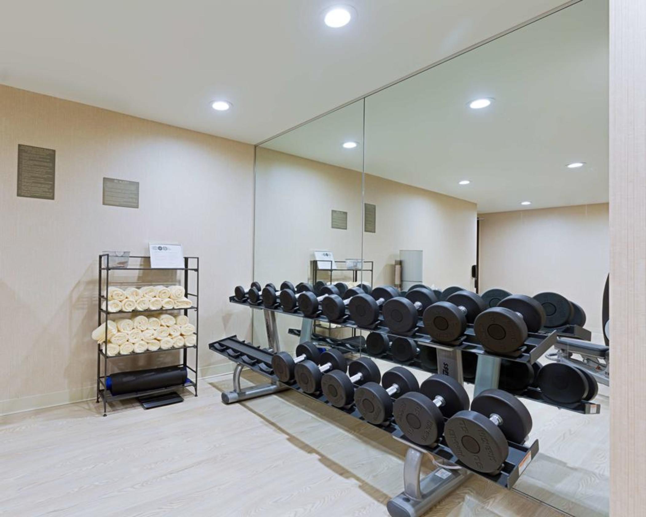 Instalaciones Recreativas Hyatt Place Long Island City/New York City