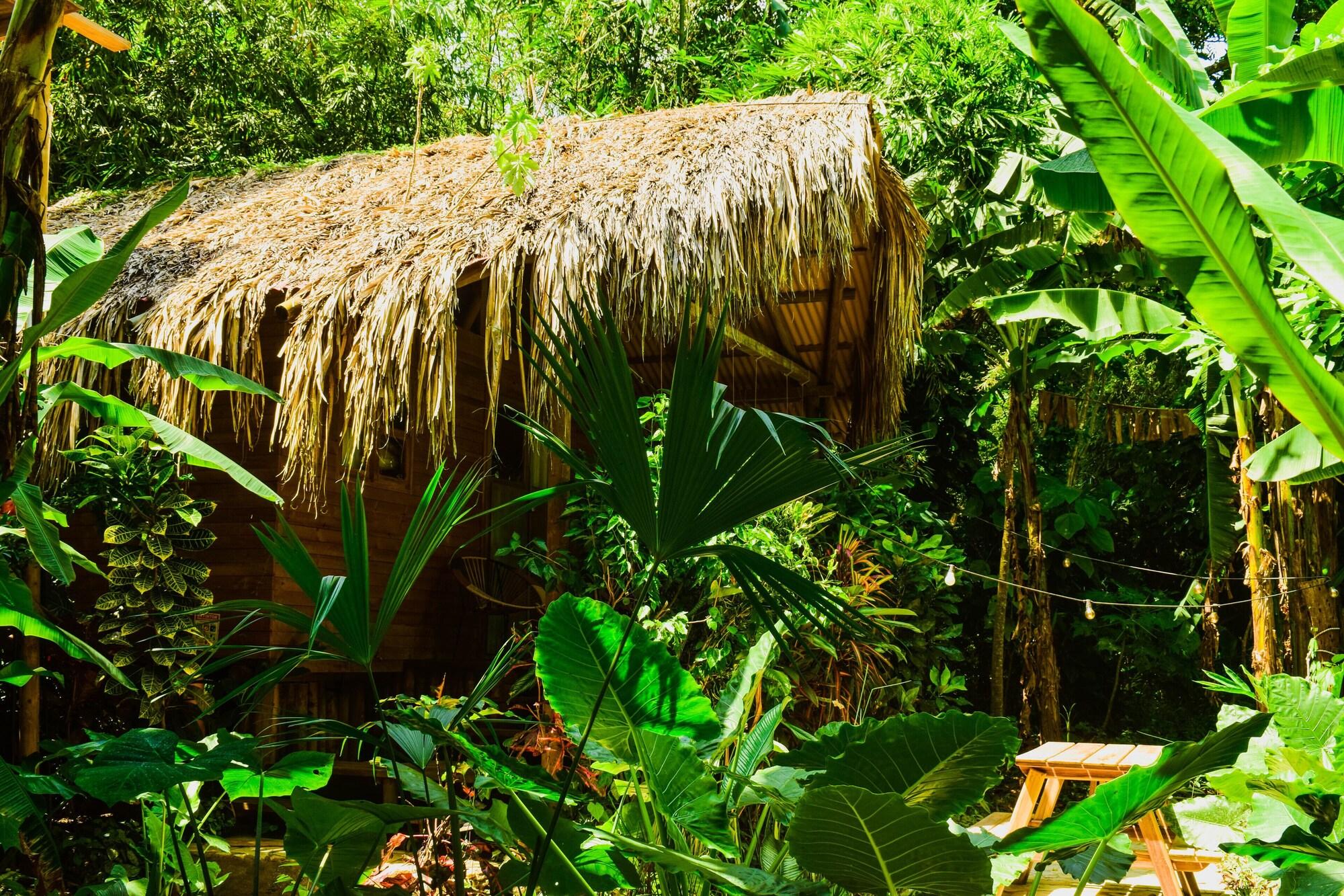Habitación YAY Sustainable