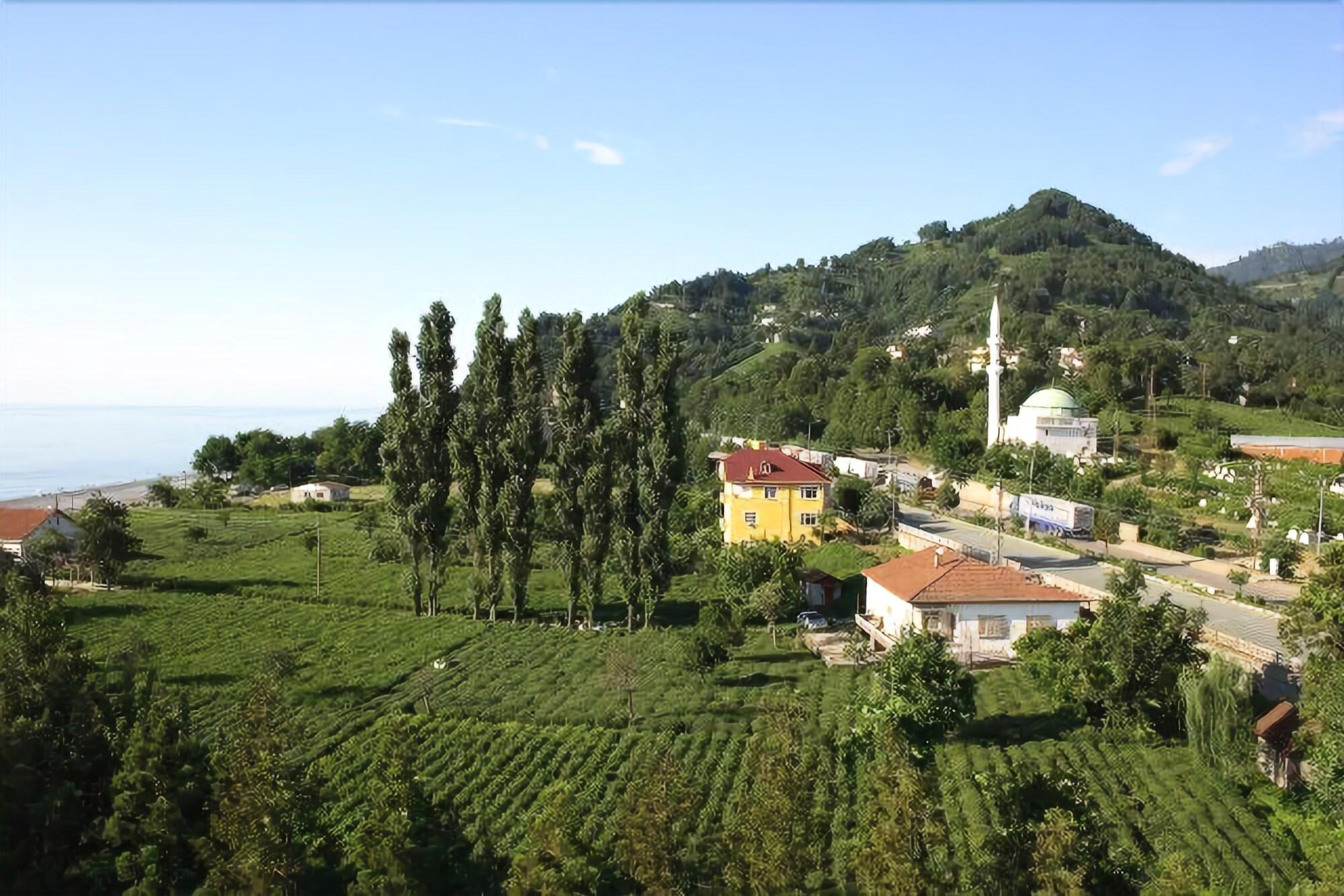 Vista Exterior Sarp Hotel
