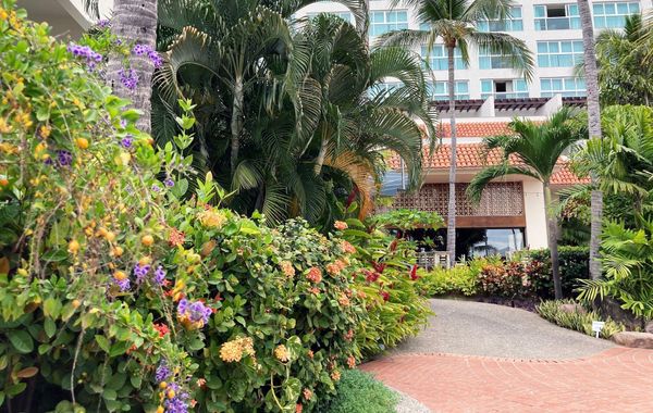 Sheraton Buganvilias Puerto Vallarta - Hoteles cerca de Malecón en Puerto Vallarta