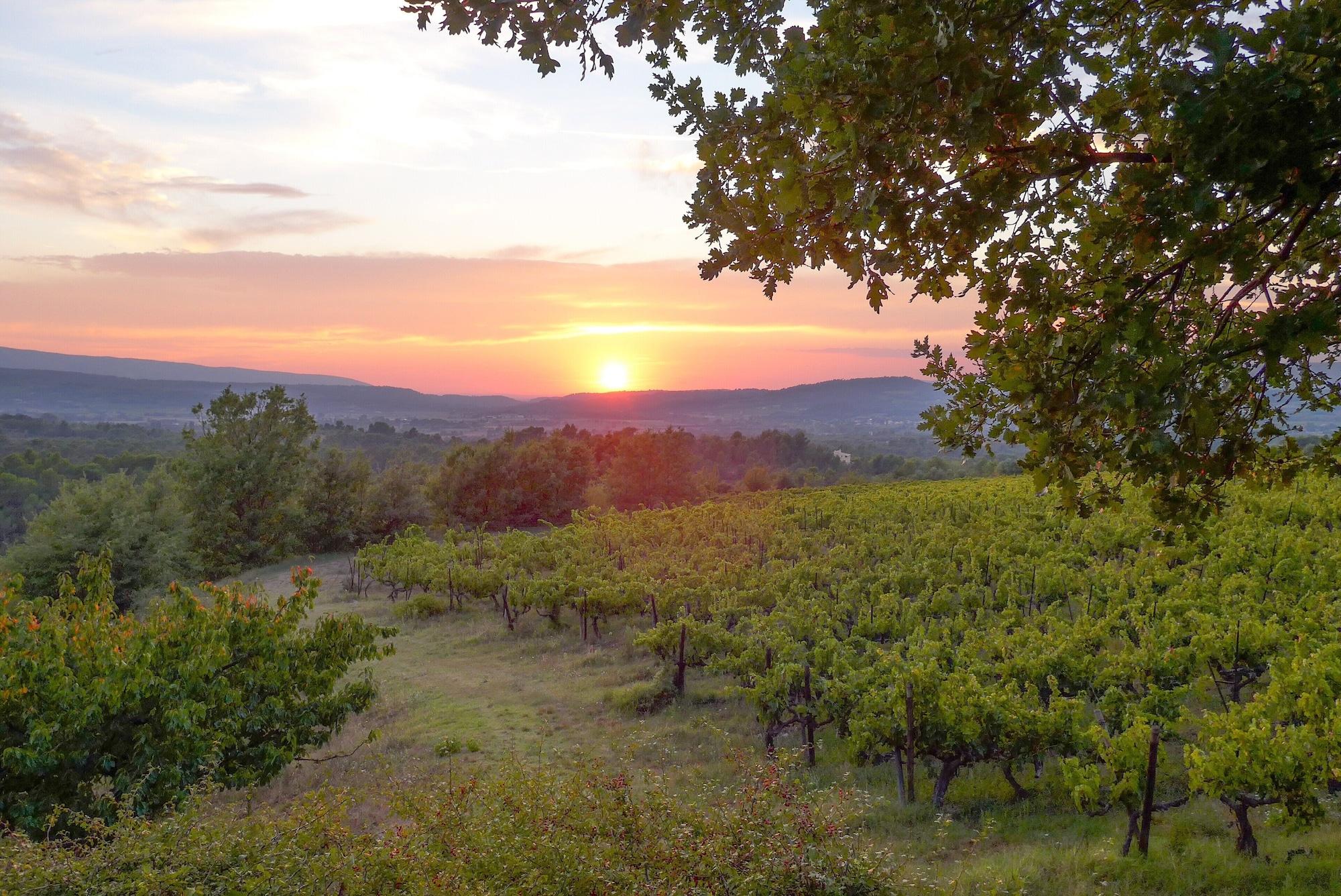 Varios La Couleur des Vignes