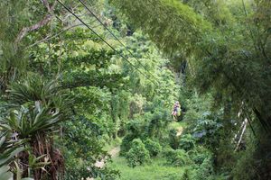 Actividad - Chukka Seville Horseback Ride 'N' Swim with Dunn's River Climb and Zipline