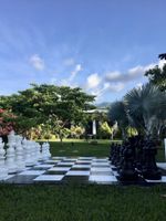 Alojamiento - Paraiso Rainforest and Beach Hotel