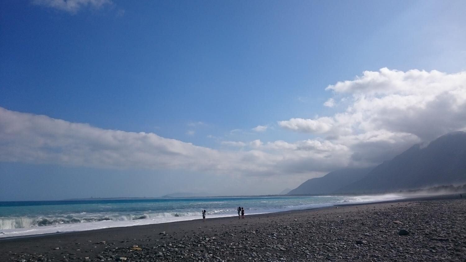 Varios Flower and Green Collection