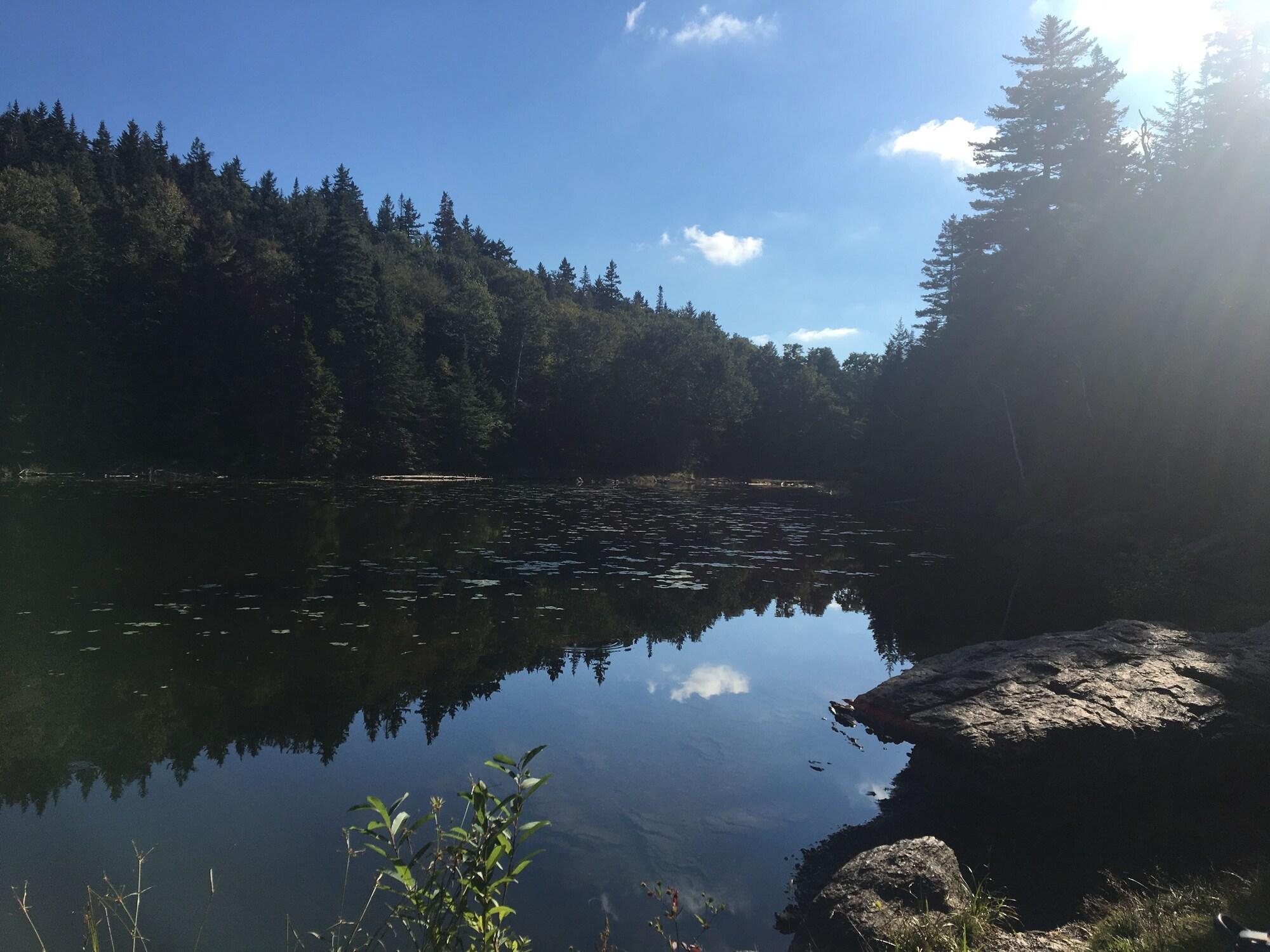 Instalaciones Recreativas La Maison de Ville - bed & bistro