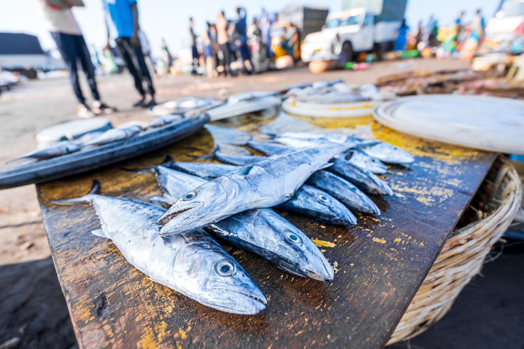 Vista Exterior Lotus Eco Beach Resort Murud