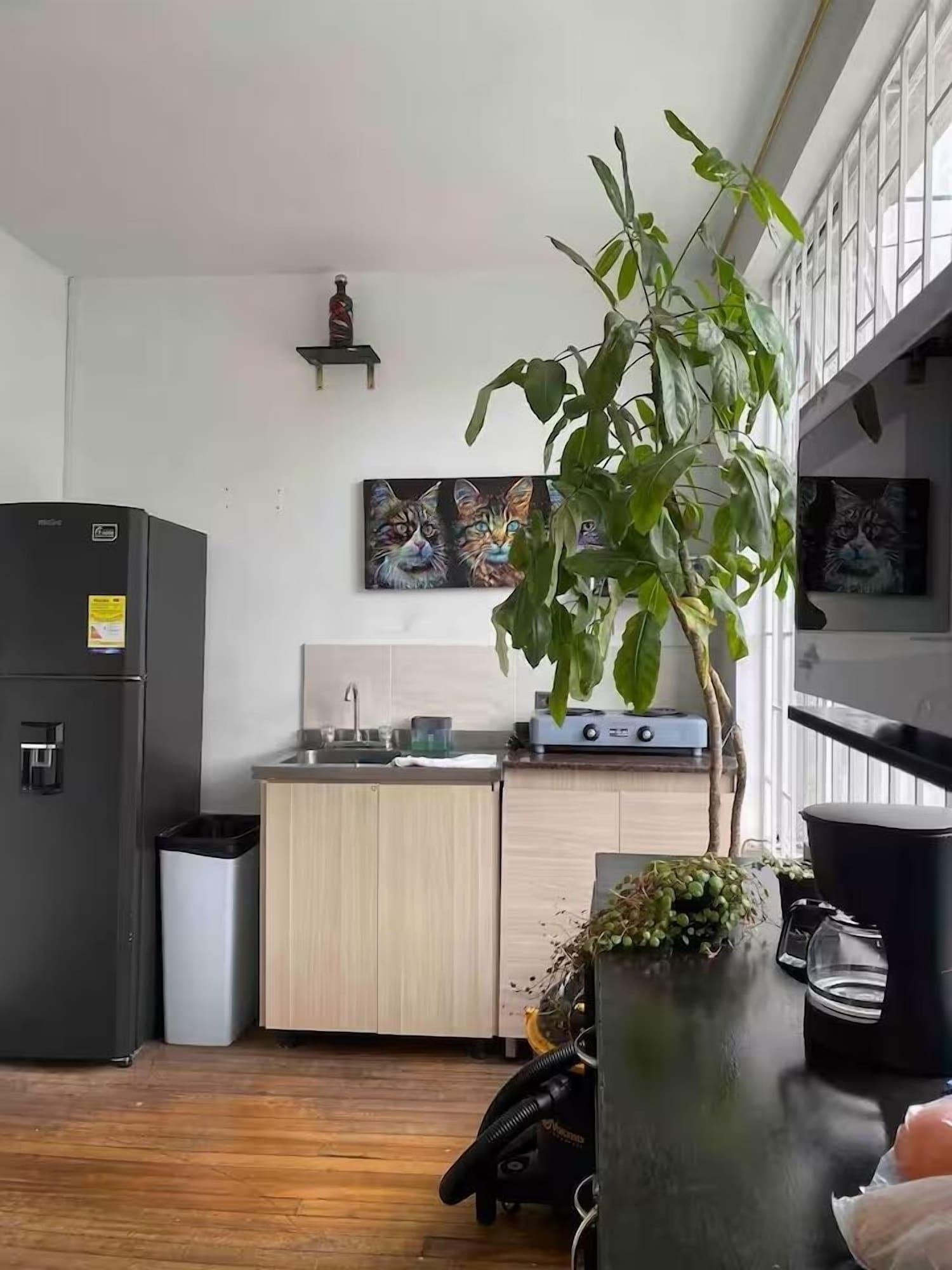 Equipamiento de Habitación Hotel El Encanto