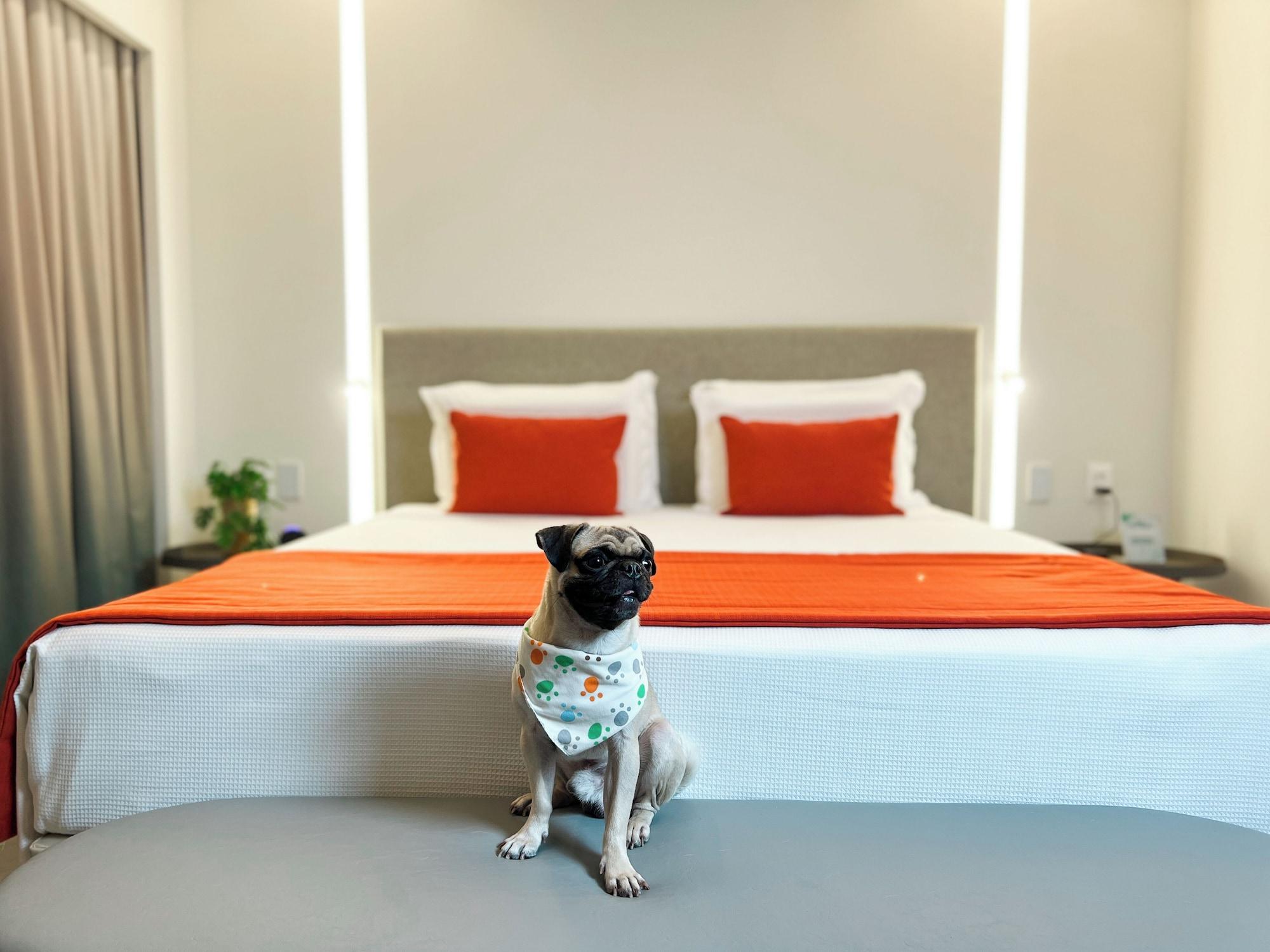 Habitación Japaratinga Lounge Resort