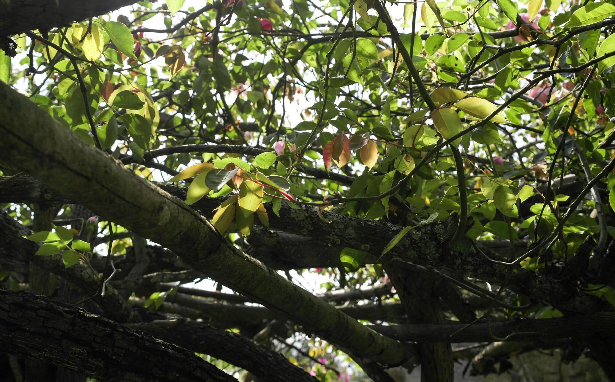 Equipamiento de Habitación Loft Oasis