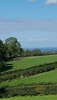 Alojamiento - Kilcreeny Lodge