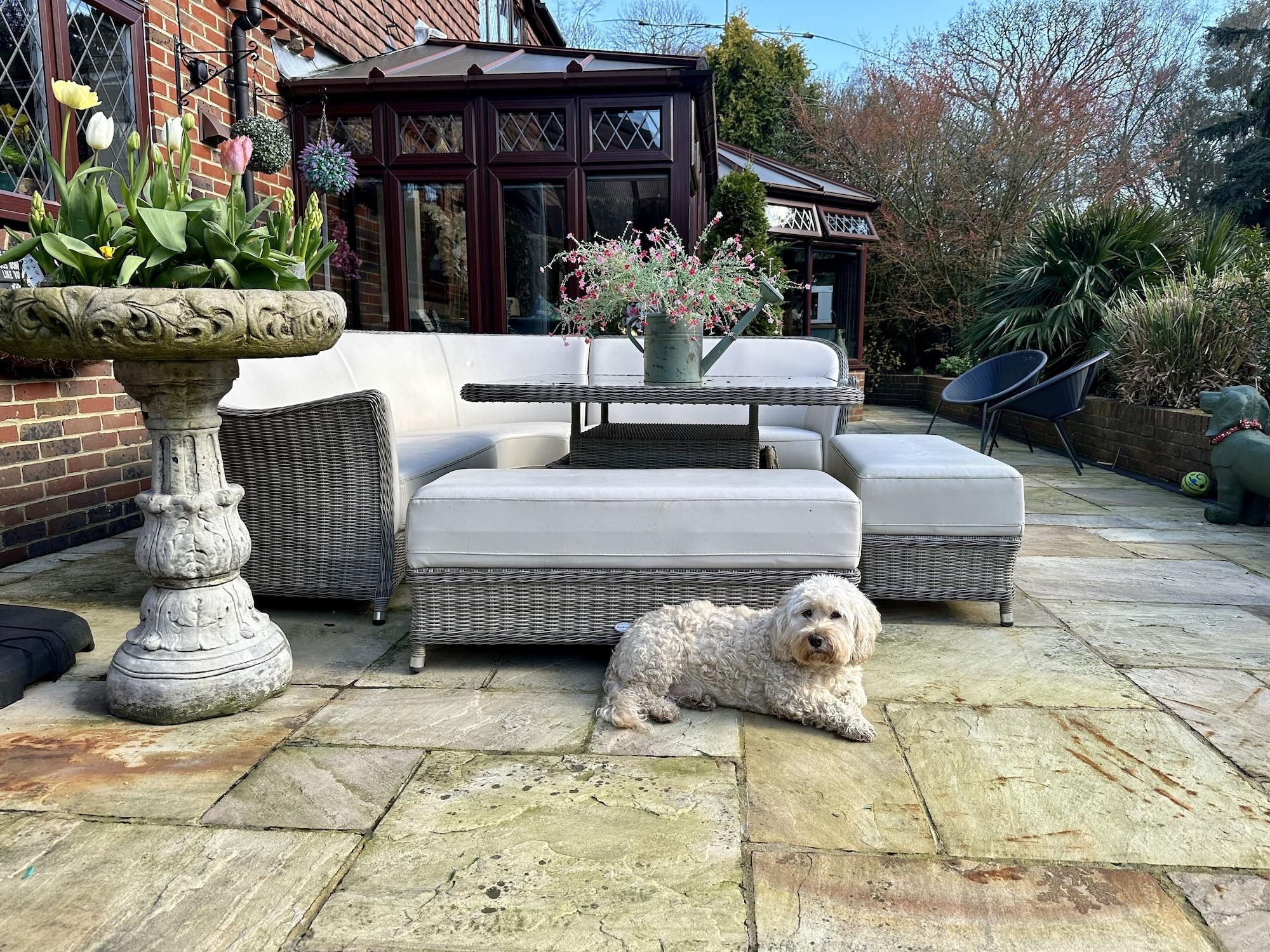 Equipamiento de Habitación Beechwood B&B