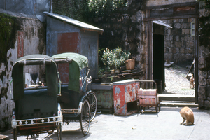 Actividad - Visita turística por Macao - Tour de día completo