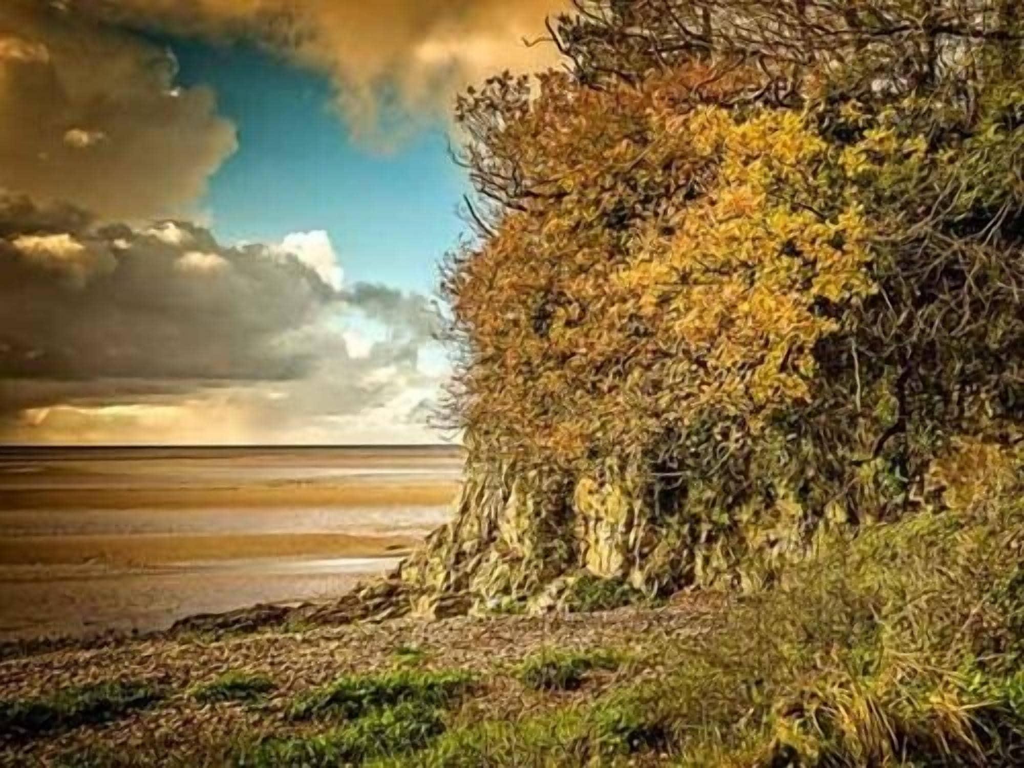 Varios The Silverdale Hotel