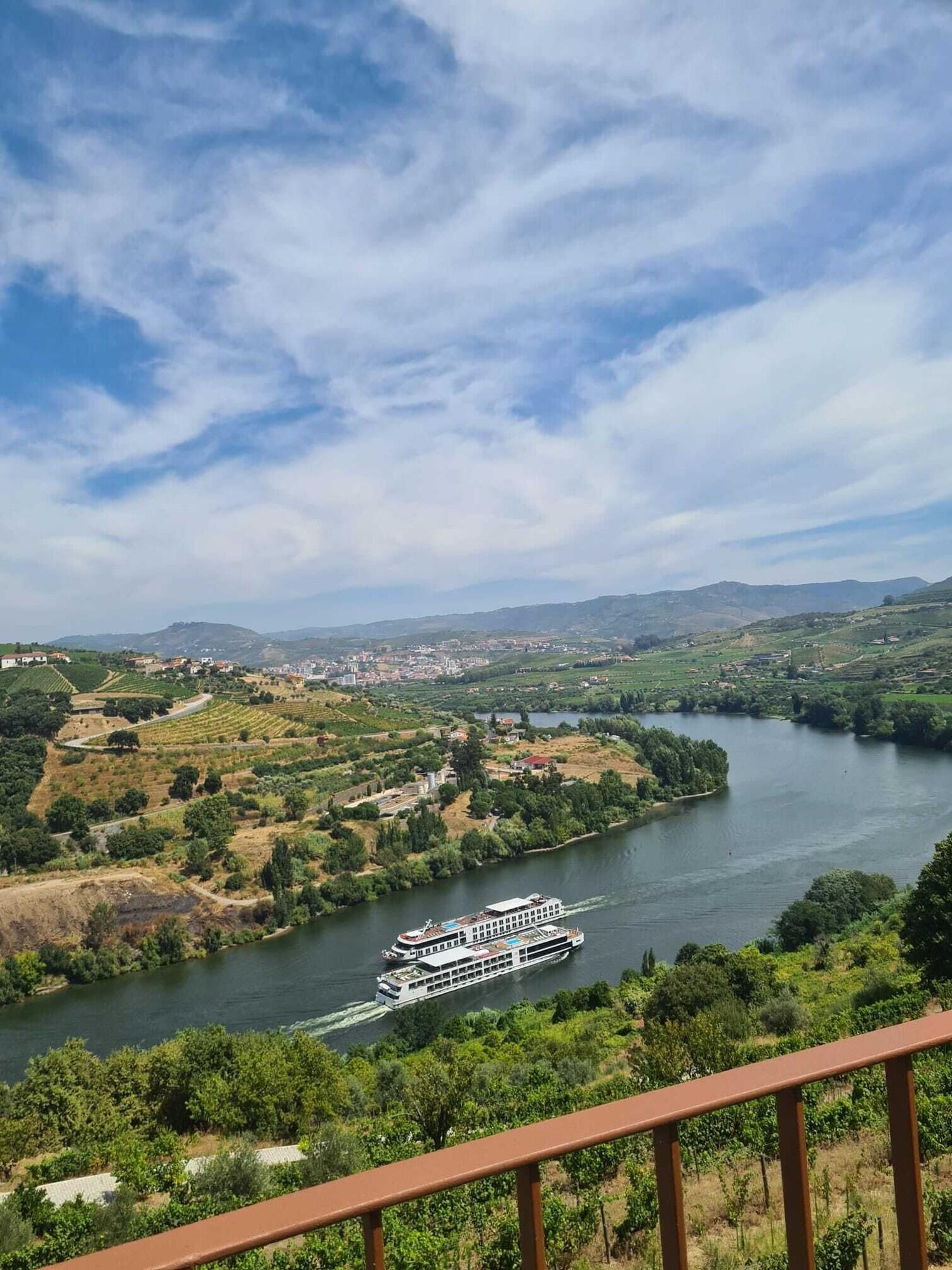 Vista Exterior Delfim Douro Hotel
