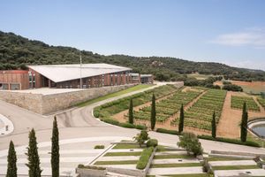 Alojamiento - Valbusenda Hotel Bodega & Spa