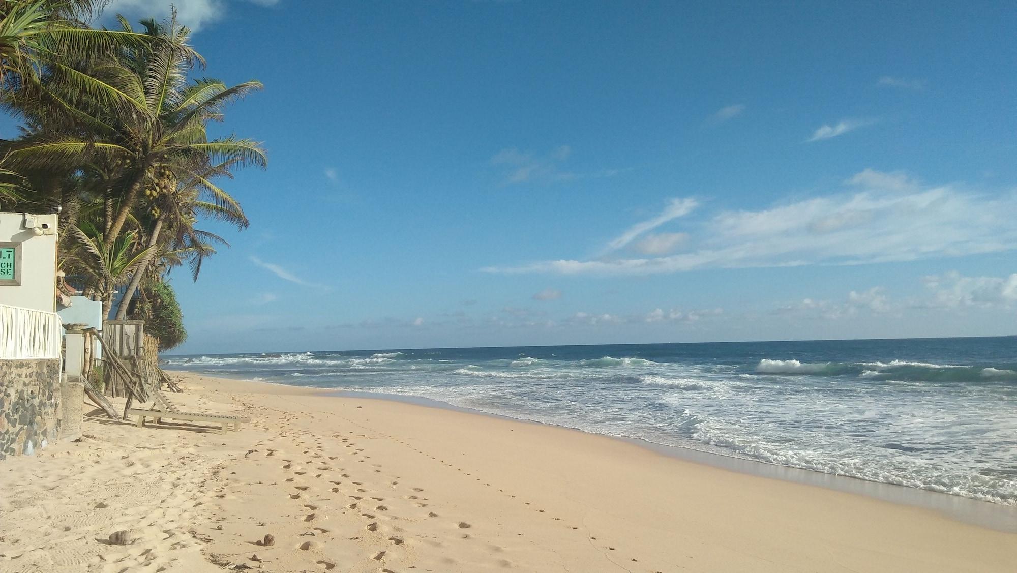 Vista Exterior Jungle house