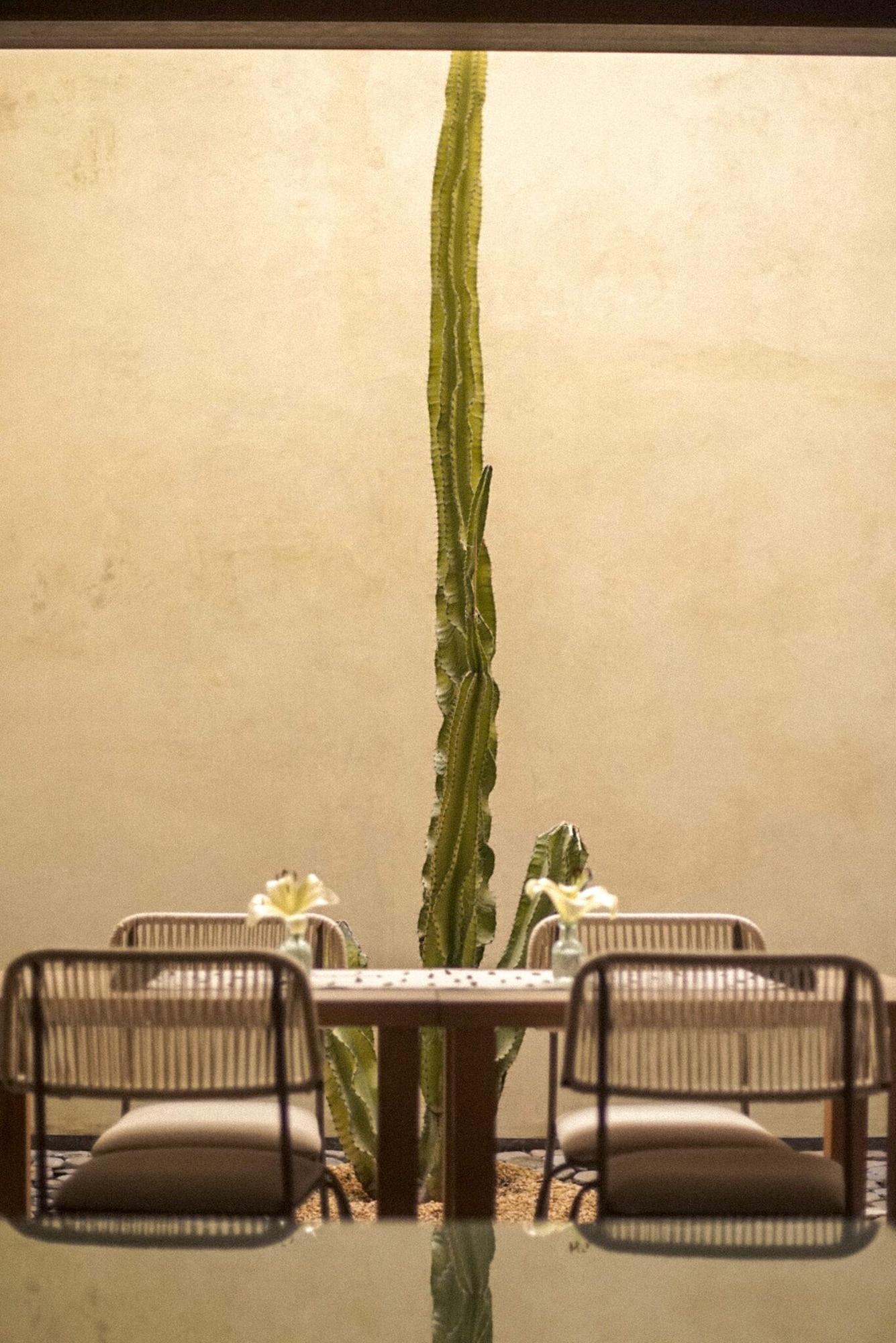 Restaurant Casa Carmen Reforma