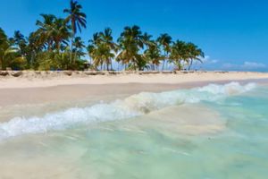 Actividad - Tour desde Miches a Salto El Limón y Cayo Levantado