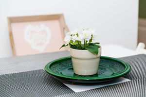Alquiler Vacacional - Tischler Apartment & Studio