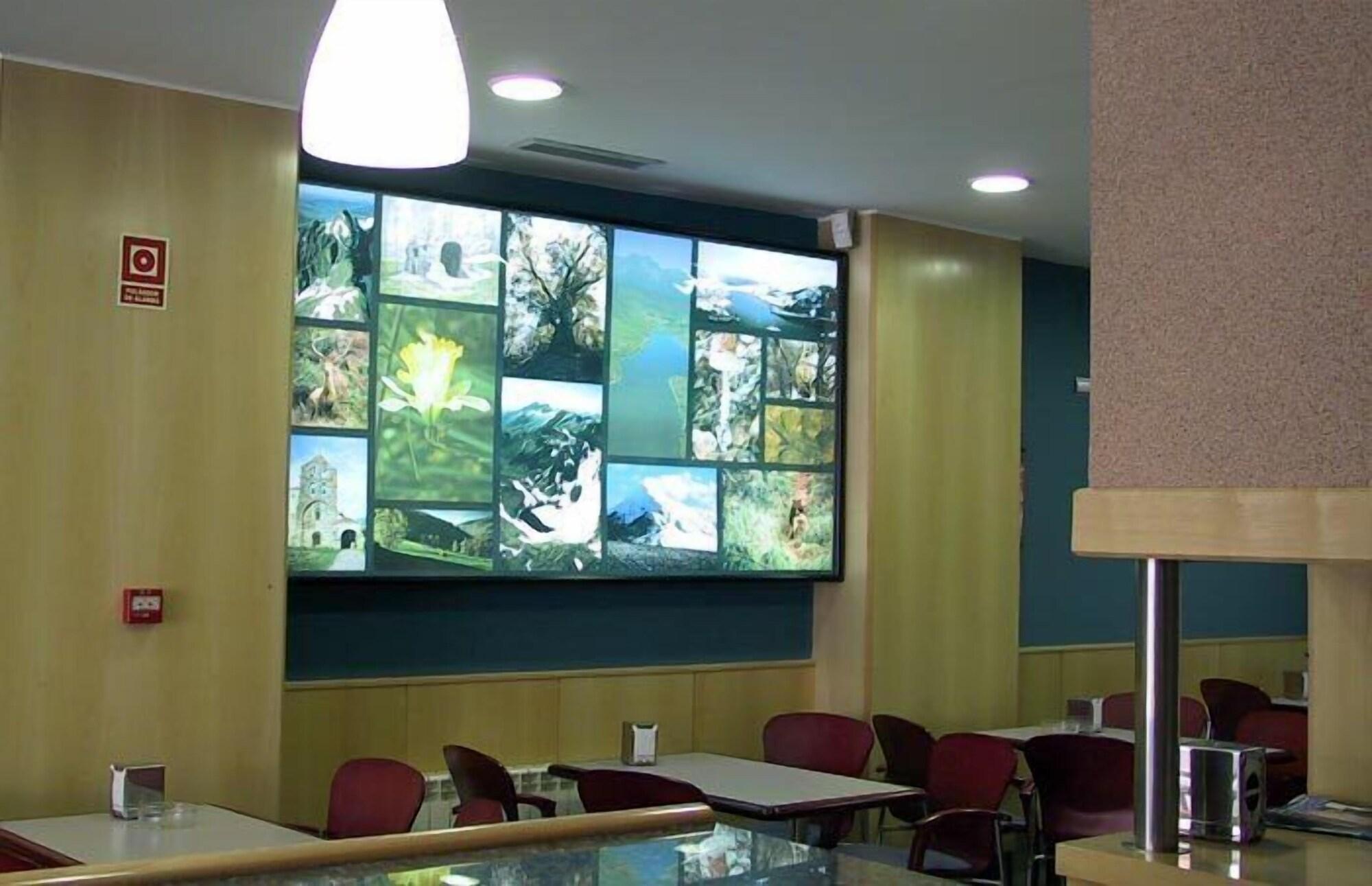 Bar/Salón Hotel El Roble