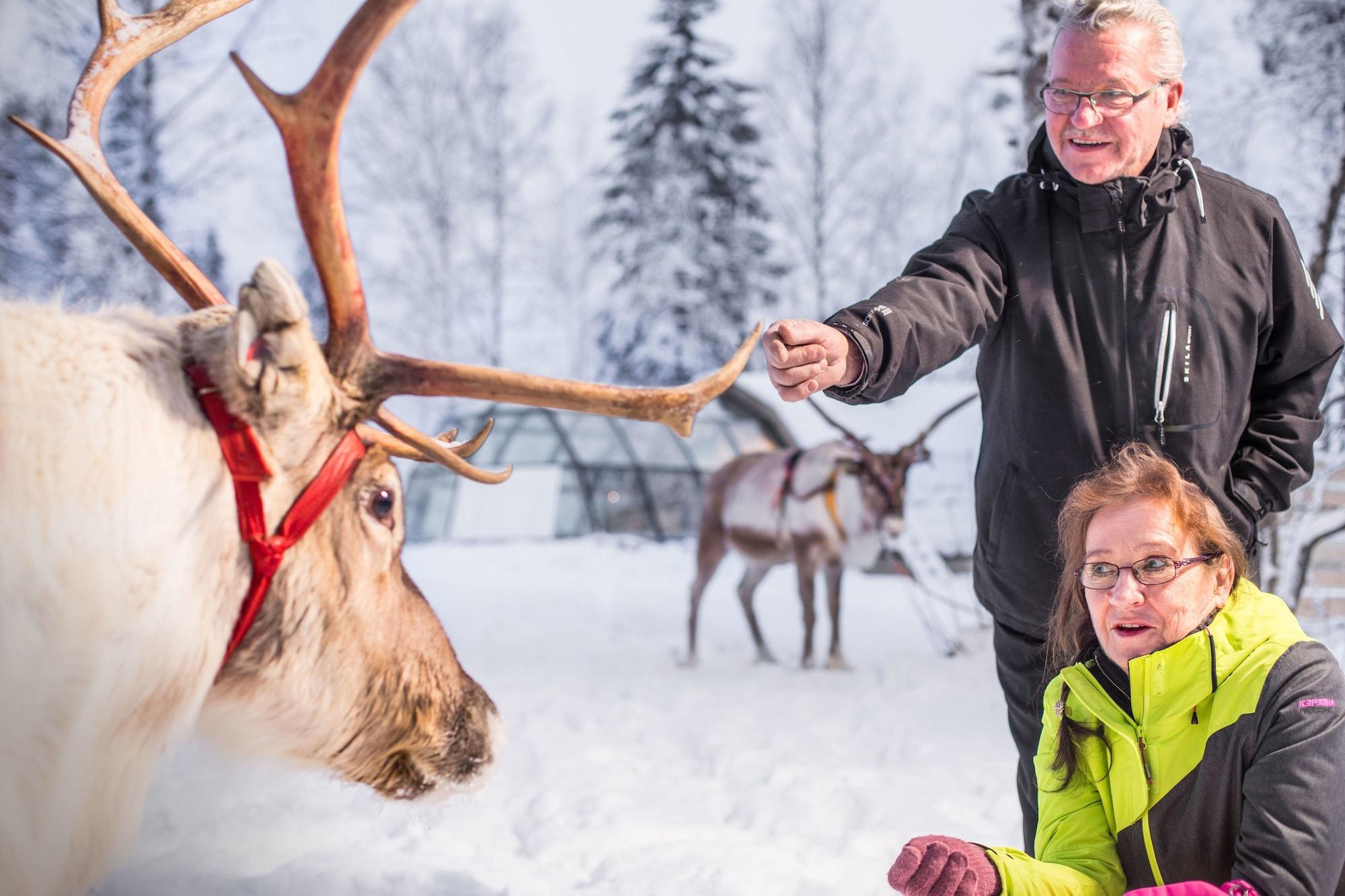 Varios Lapland Northern Lights Hotel Ilveslinna