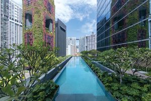Paquete - Sofitel Singapore City Centre