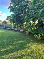 Alquiler Vacacional - Puakenikeni Hilo Hale