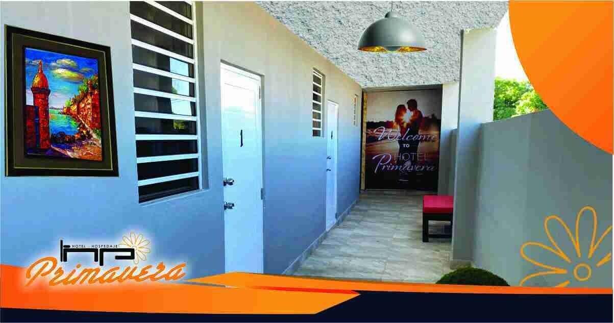 Vista Lobby Hospedaje Primavera