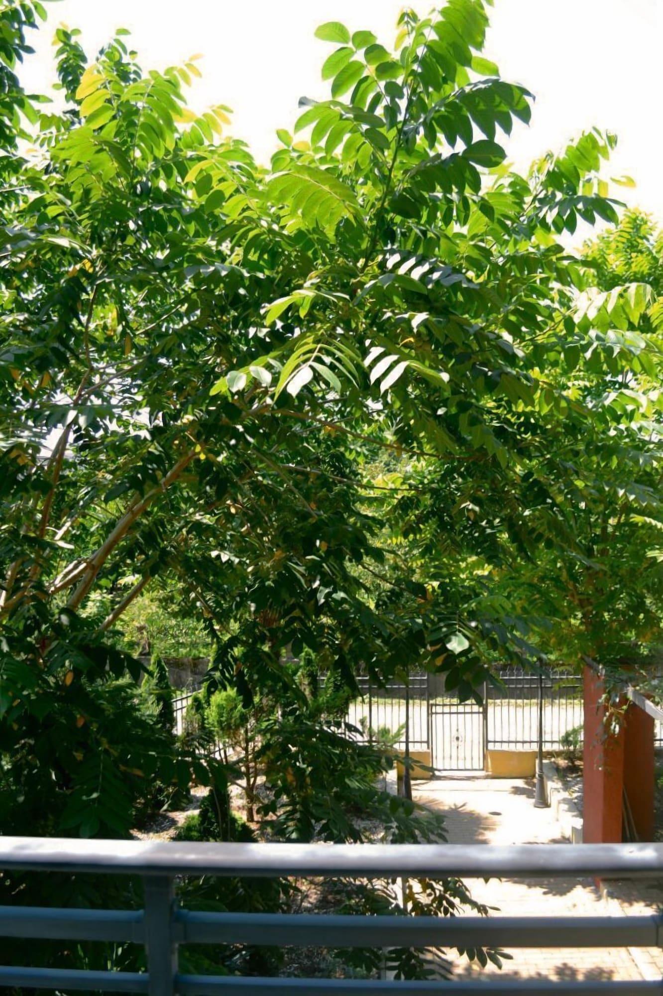 Equipamiento de Habitación Rosa Hotel Gonio