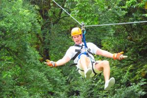 Actividad - Aventura de Canopy entre los Bosques de Boquete