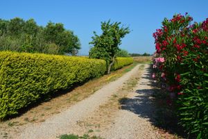 Alojamiento - Agrialbergo Capalbio La Sugherella