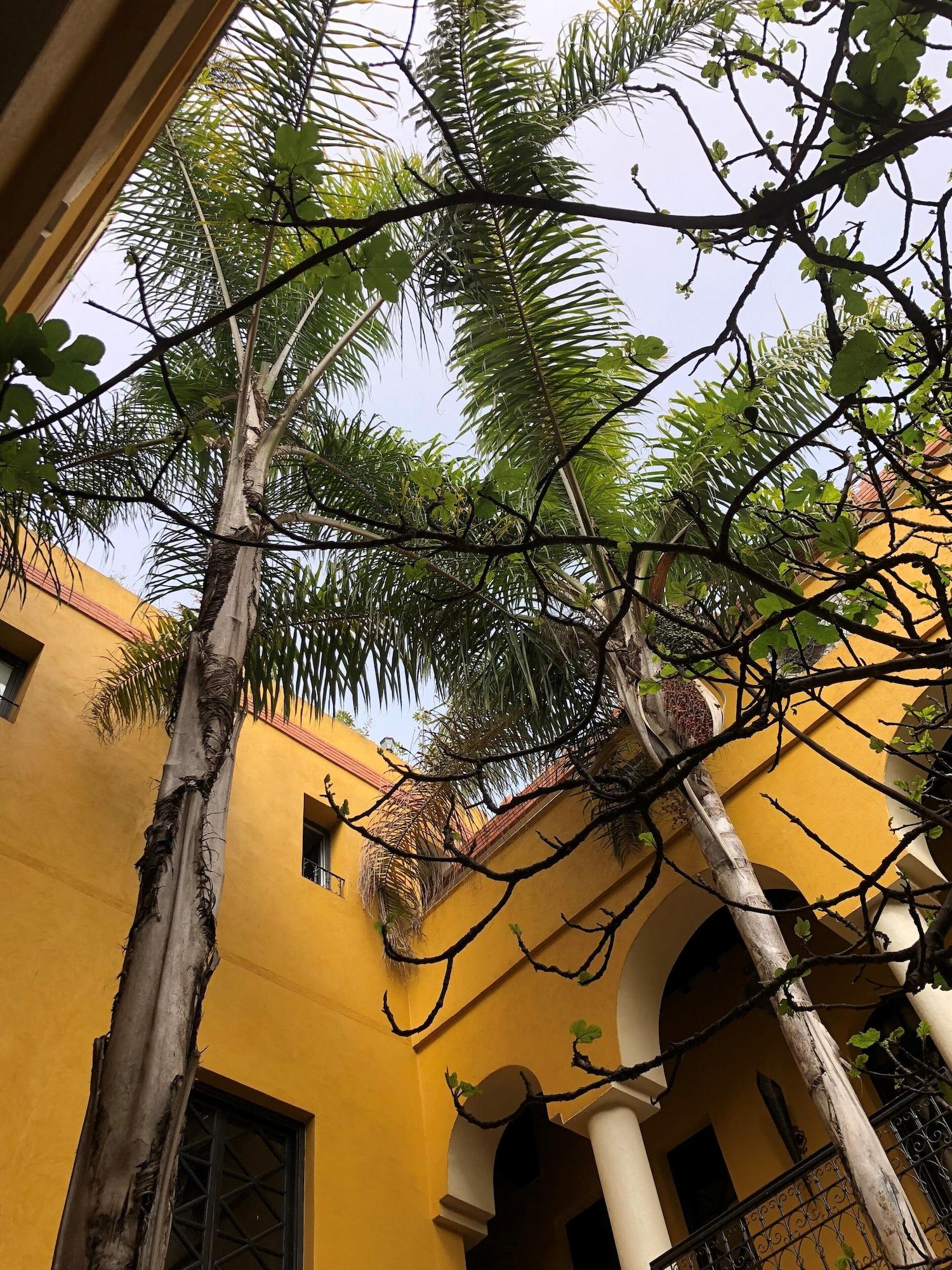 Equipamiento de Habitación Riad Soleil d'Orient