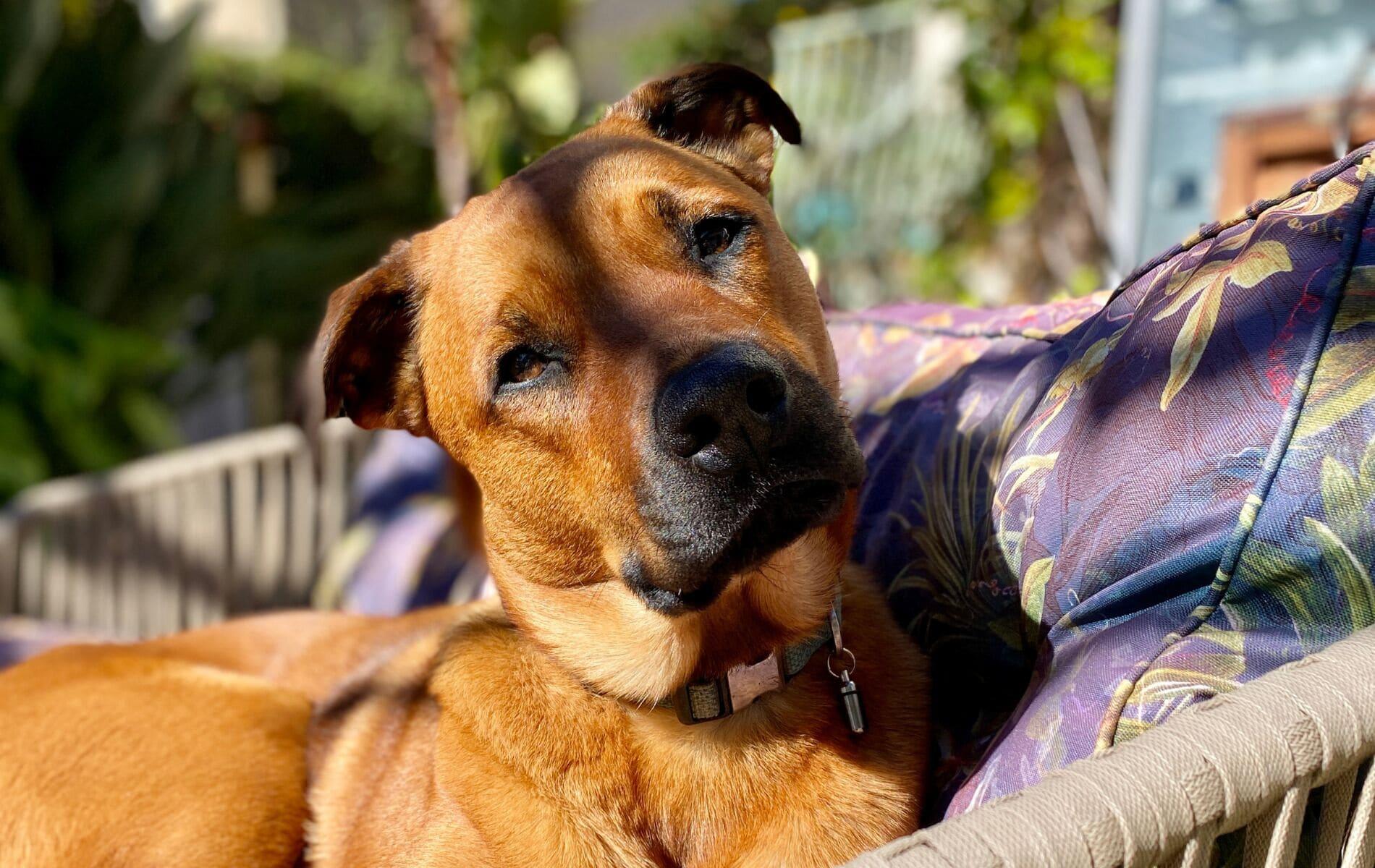 Vista Exterior La Jabotte