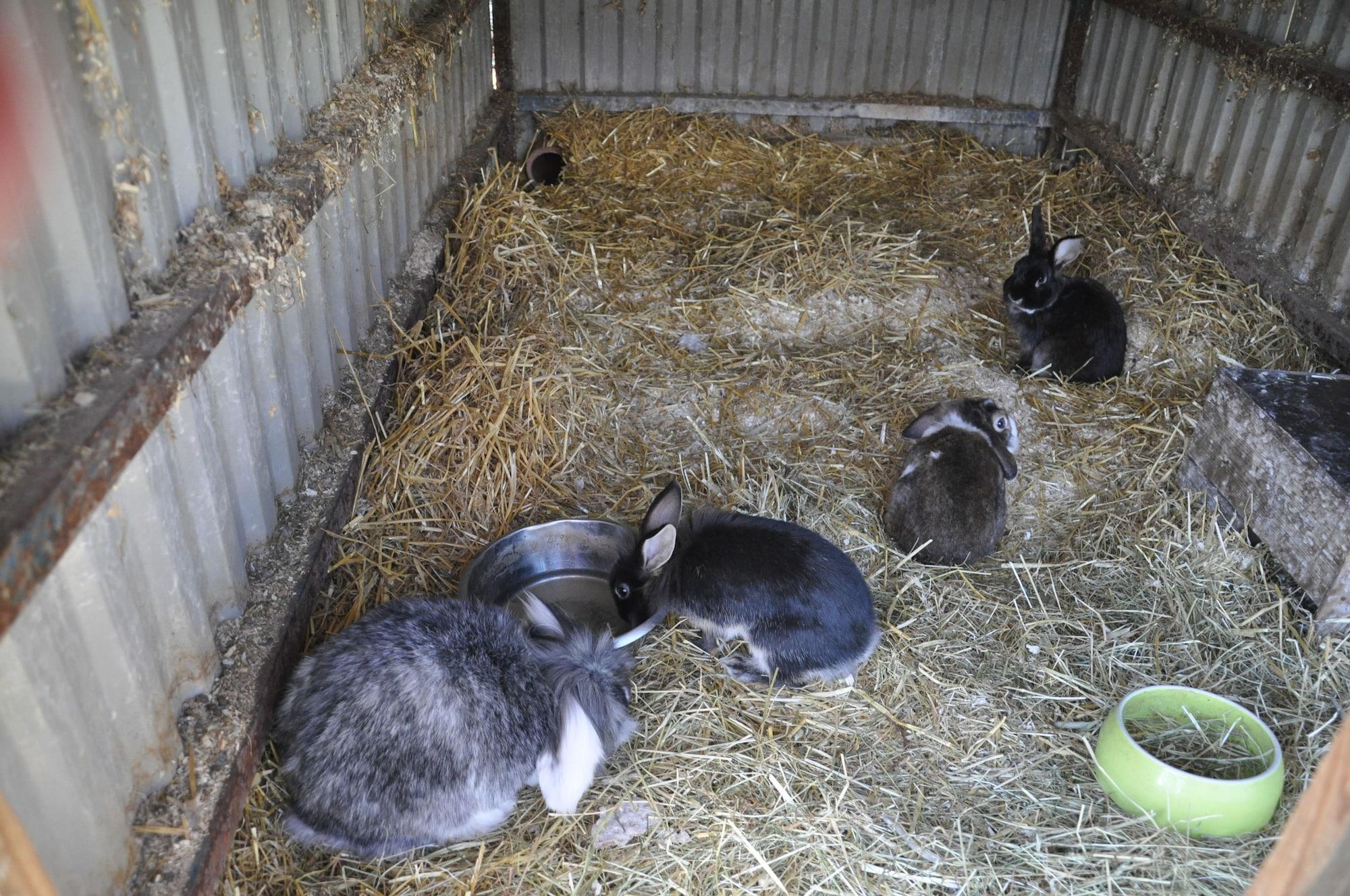 Instalaciones Recreativas Kullagården