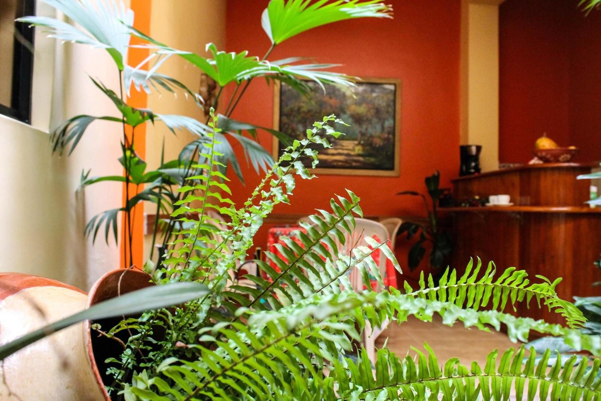 Vista Lobby Sol de Selva Hostal
