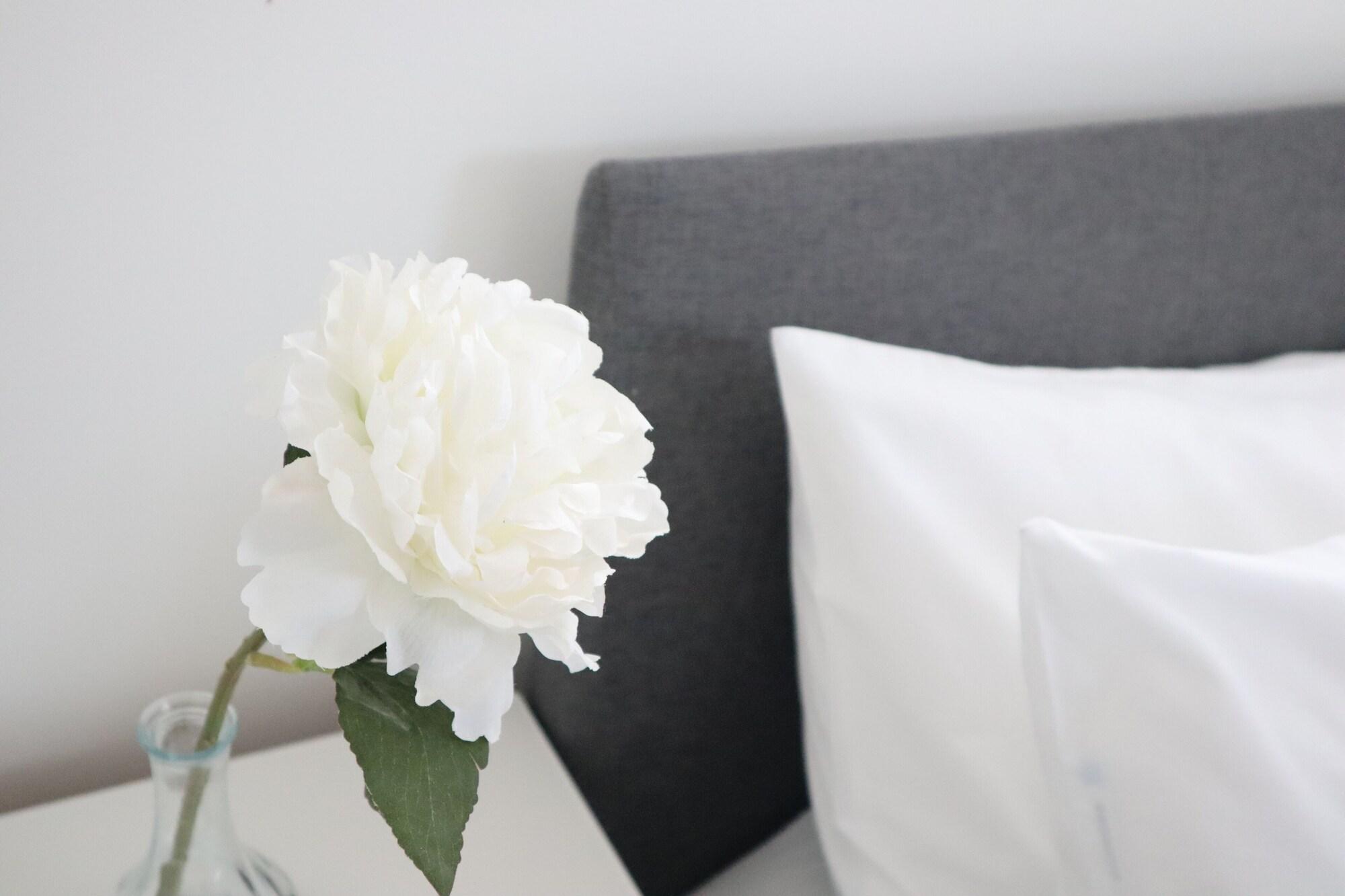 TTSA- Essential 1 Bedroom Apt Balham-Free Parking photo 7
