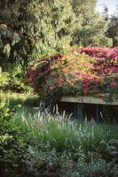 Alojamiento - Dar Maktoub