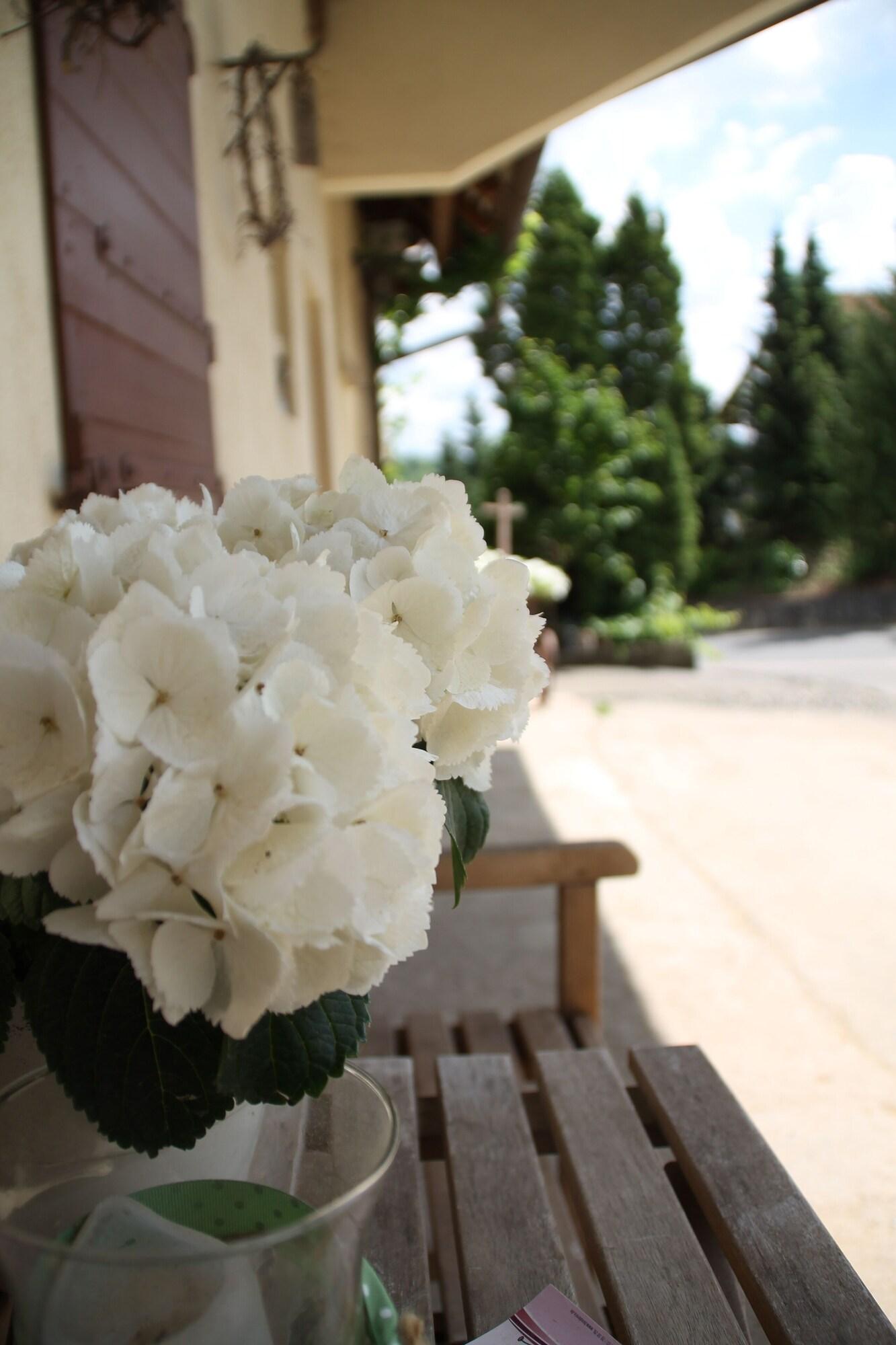 Vista Exterior Tauberlodge