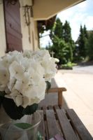 Alojamiento - Tauberlodge