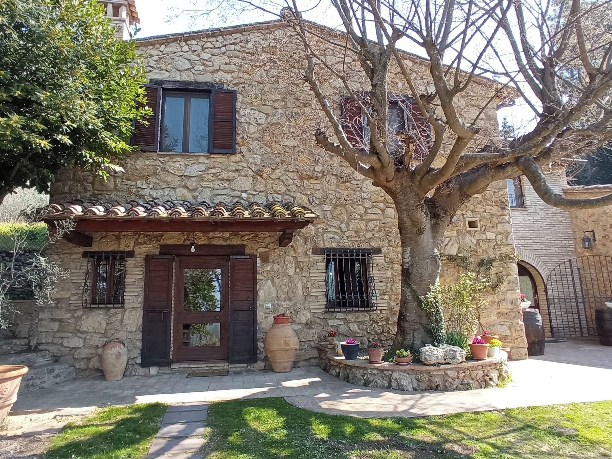 Varios All'Ombra di San Damiano