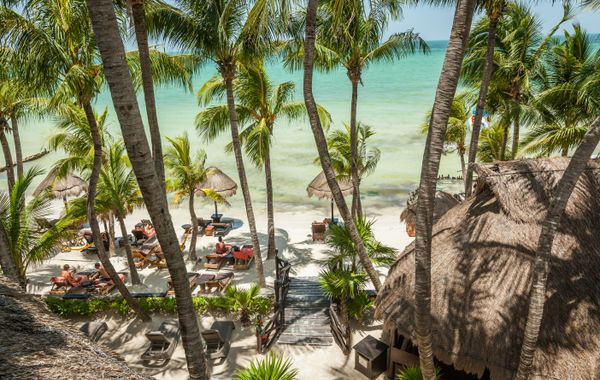 Hotel La Palapa - Hoteles pet friendly en Holbox, México